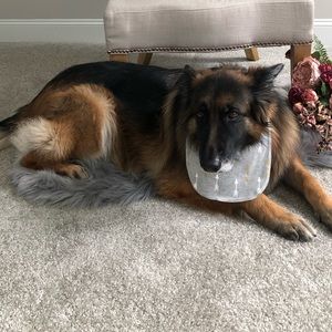 Meet your Posher, Sandra